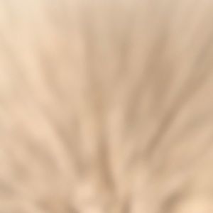 Meet your Posher, Coby